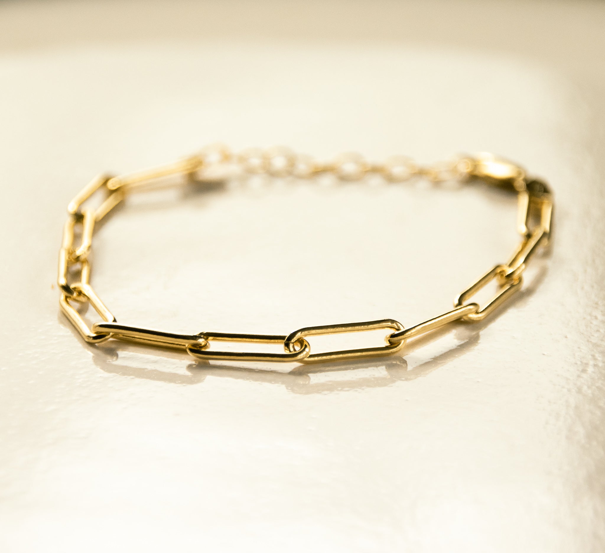 Paperclip Bracelet